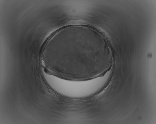 X0000090901457200708270934