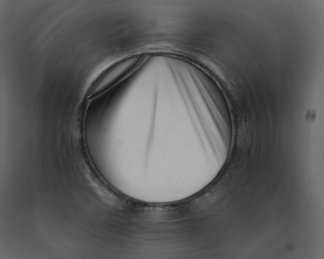 X0000090901458200708270934