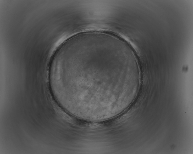 X0000090901459200708270934