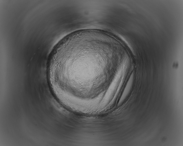 X0000090901460200708270934