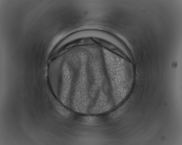 X0000090901461200708270934