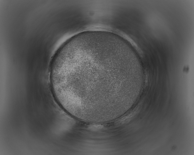 X0000090901462200708270934