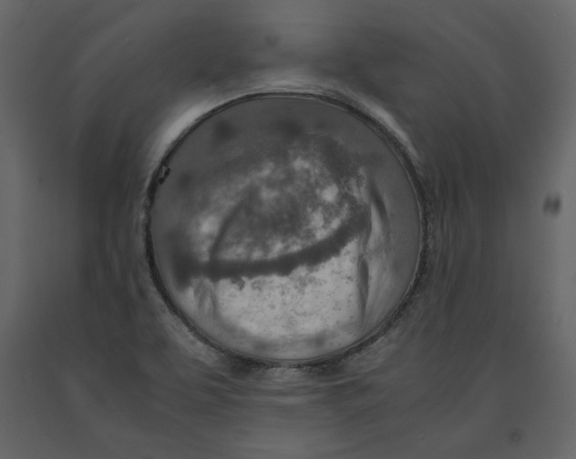 X0000090901463200708270934