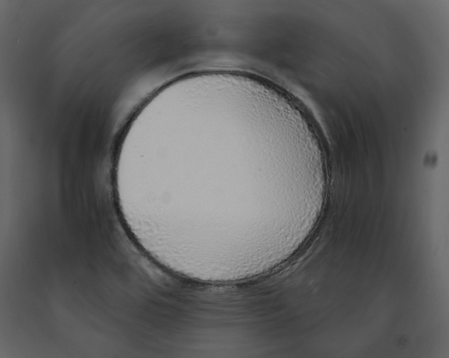 X0000090901464200708270934