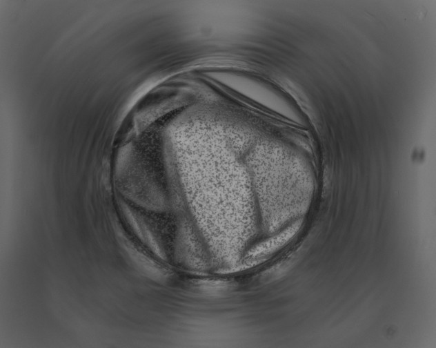 X0000090901465200708270934