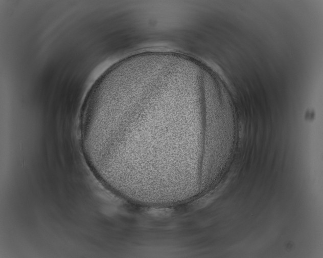 X0000090901466200708270934