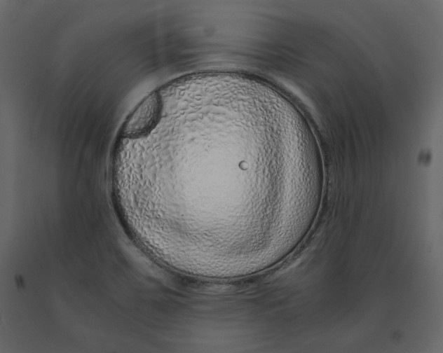 X0000090901467200708270934