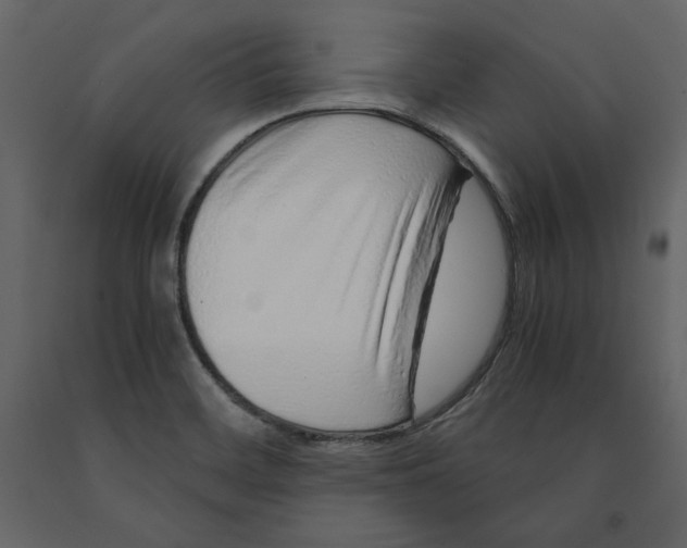 X0000090901468200708270934