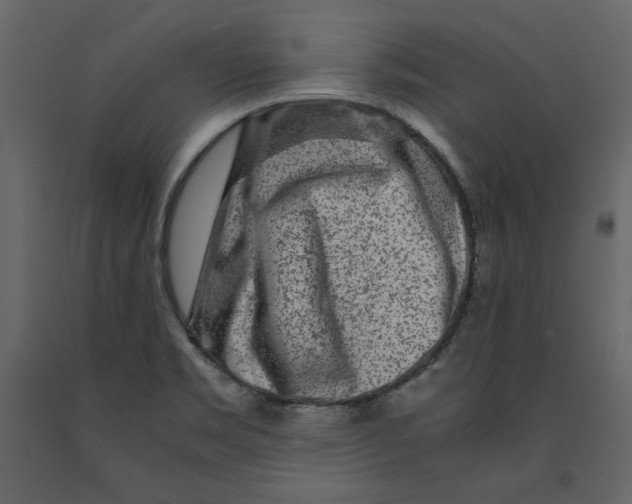 X0000090901469200708270934