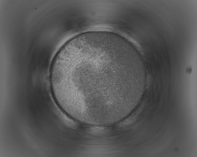 X0000090901470200708270934