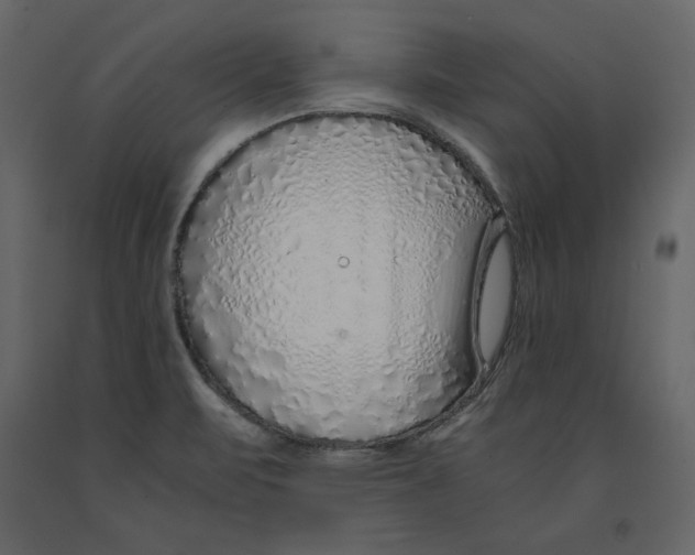 X0000090901471200708270934