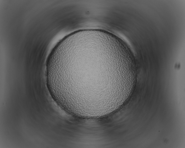 X0000090901472200708270934