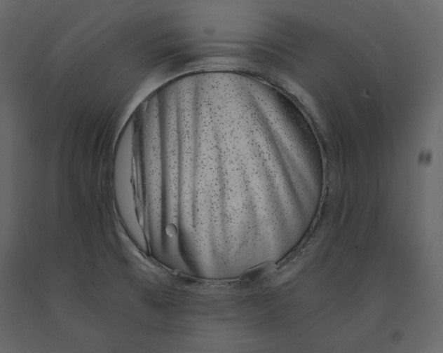 X0000090901473200708270934