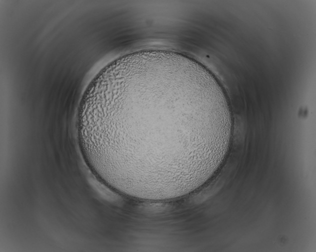 X0000090901474200708270934