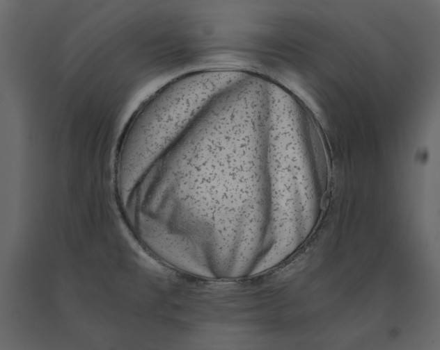 X0000090901477200708270934