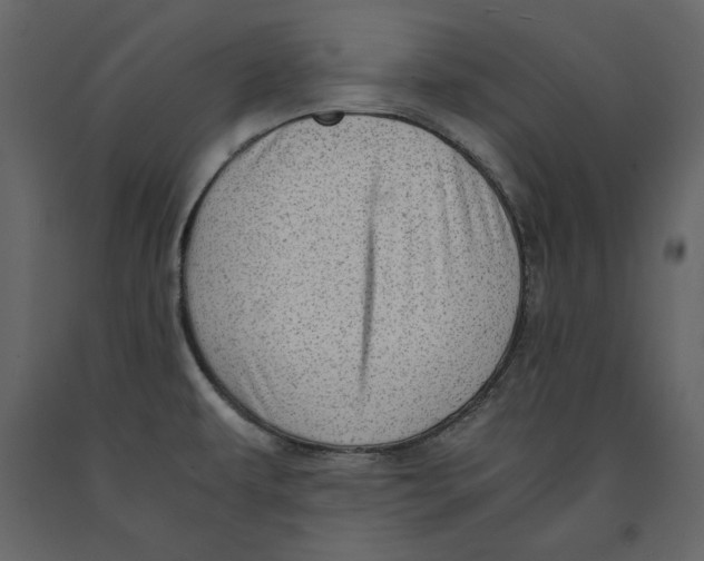 X0000090901479200708270934