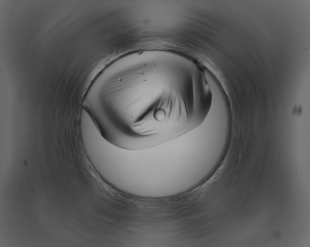 X0000090901481200708270934