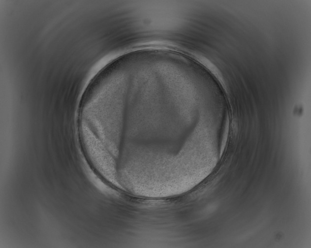 X0000090901482200708270934