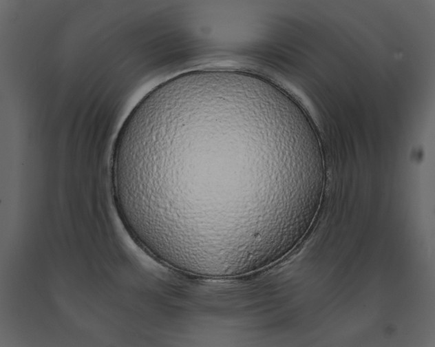 X0000090901483200708270934