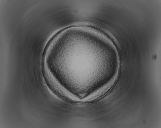 X0000090901484200708270933