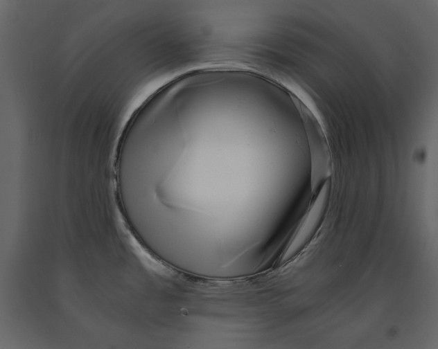 X0000090901485200708270933