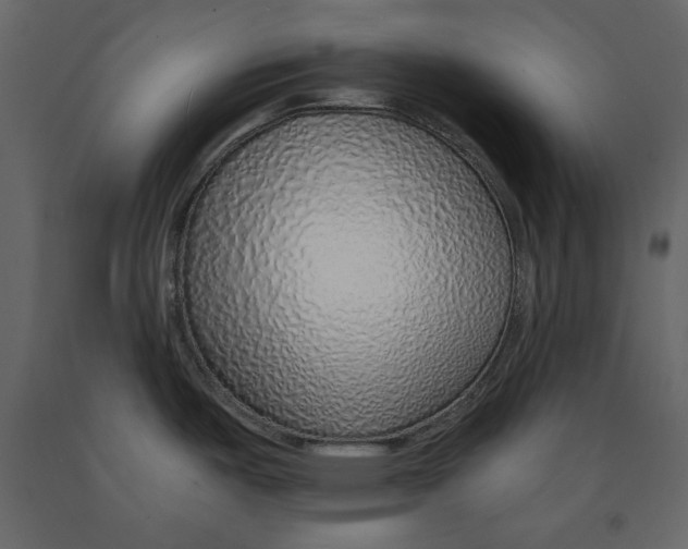 X0000090901487200708270933