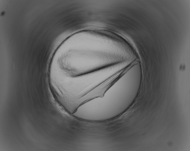 X0000090901488200708270933