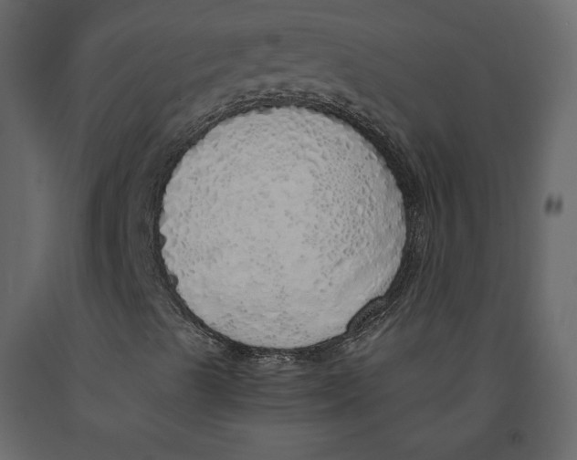 X0000090901489200708270933