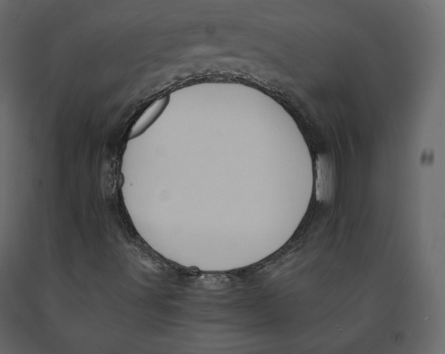 X0000090901491200708270933