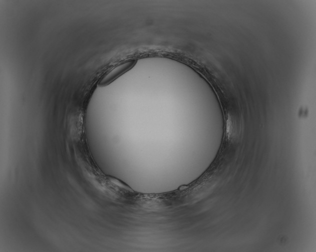 X0000090901492200708270933