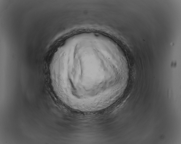 X0000090901494200708270933