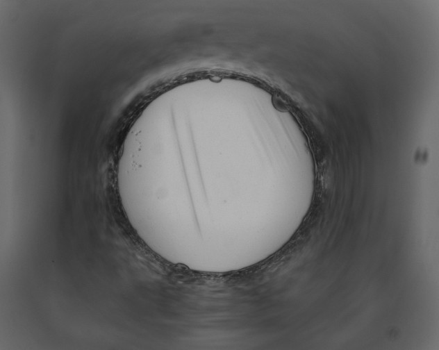 X0000090901495200708270933