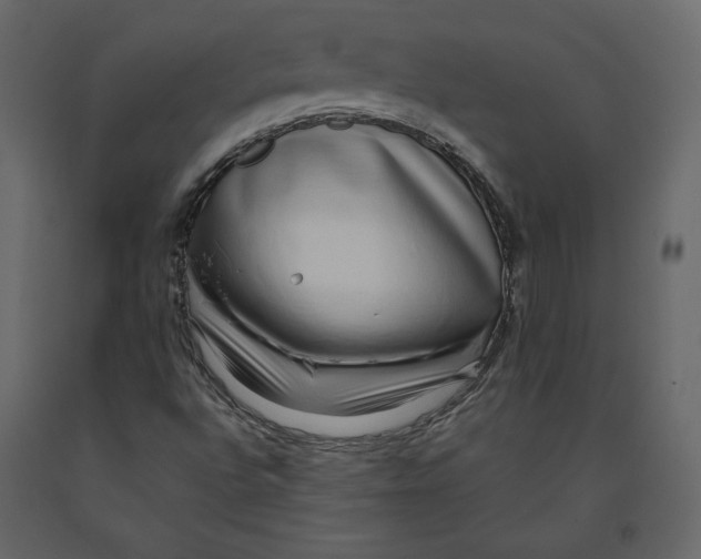 X0000090901496200708270933