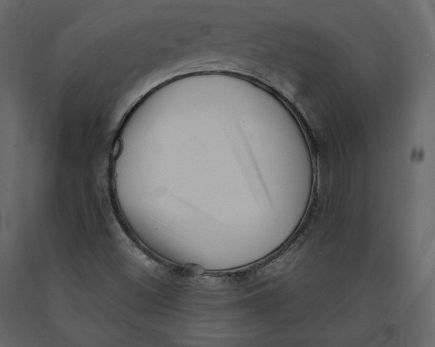 X0000090901500200708270933