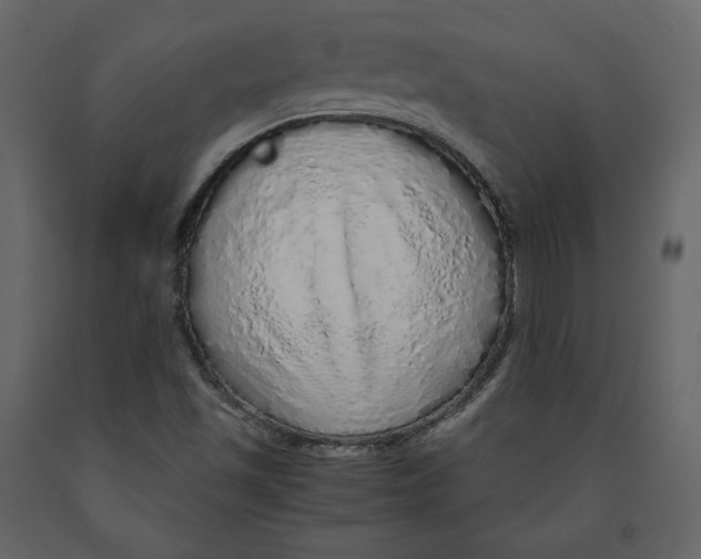 X0000090901501200708270933