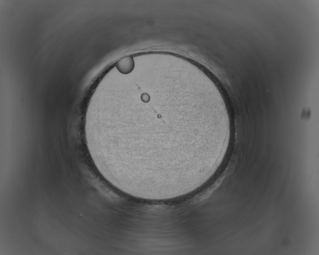 X0000090901502200708270933