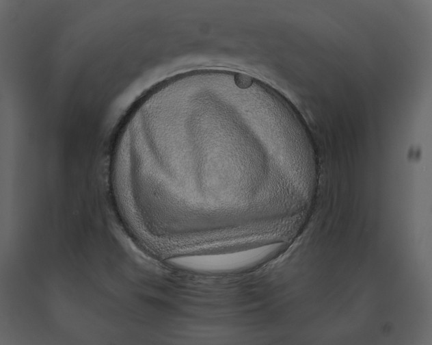 X0000090901503200708270933