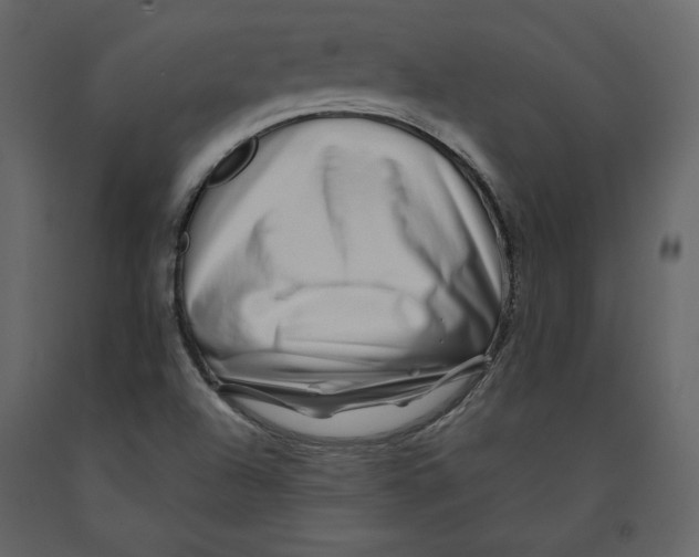 X0000090901504200708270933