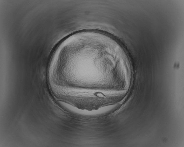 X0000090901505200708270933