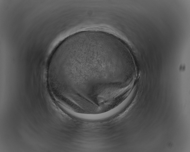 X0000090901506200708270933