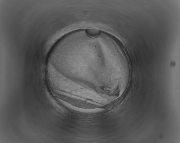 X0000090901507200708270933