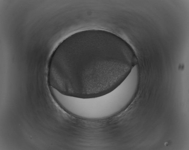 X0000090901508200708270933