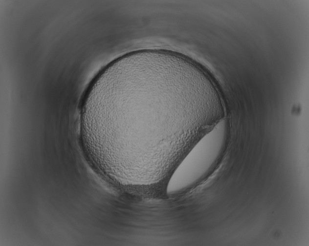 X0000090901509200708270933