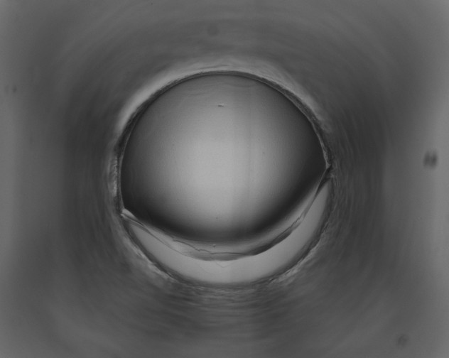 X0000090901510200708270933