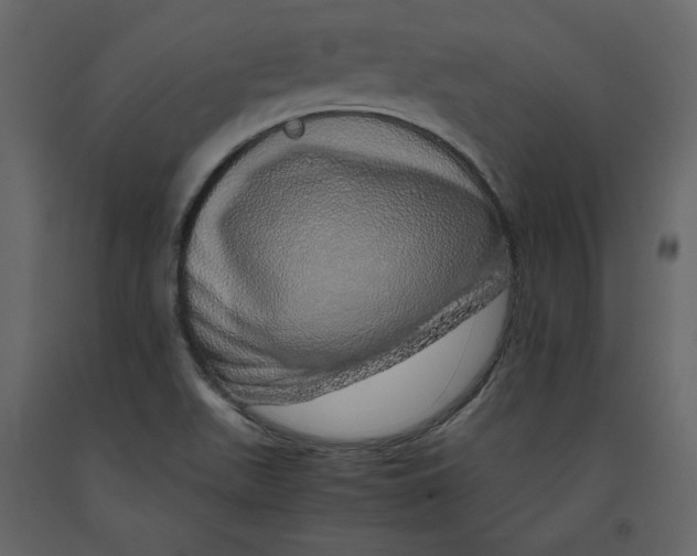 X0000090901511200708270933