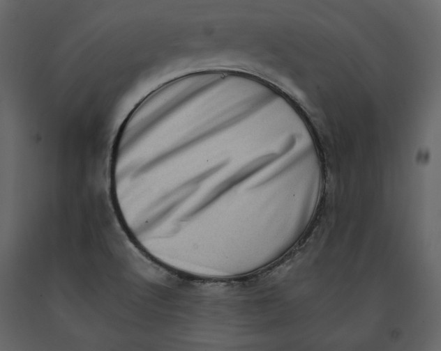 X0000090901512200708270933