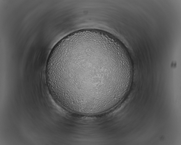 X0000090901513200708270933