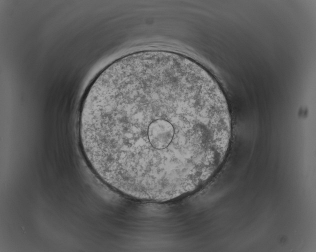 X0000090901514200708270933