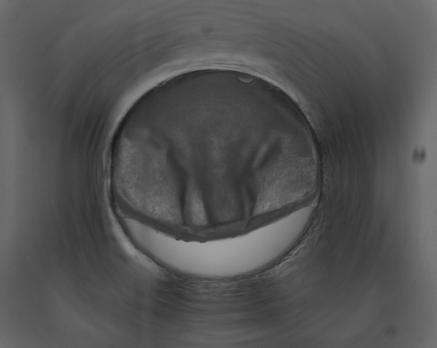 X0000090901515200708270933