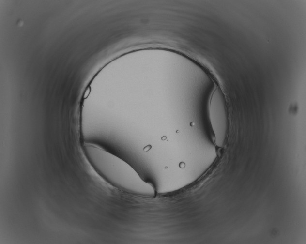 X0000090901516200708270933